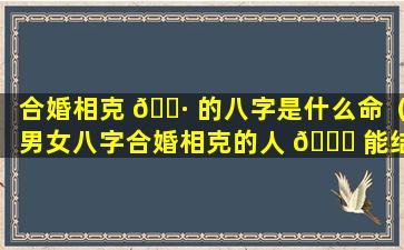 合婚相克 🕷 的八字是什么命（男女八字合婚相克的人 🍀 能结婚吗）